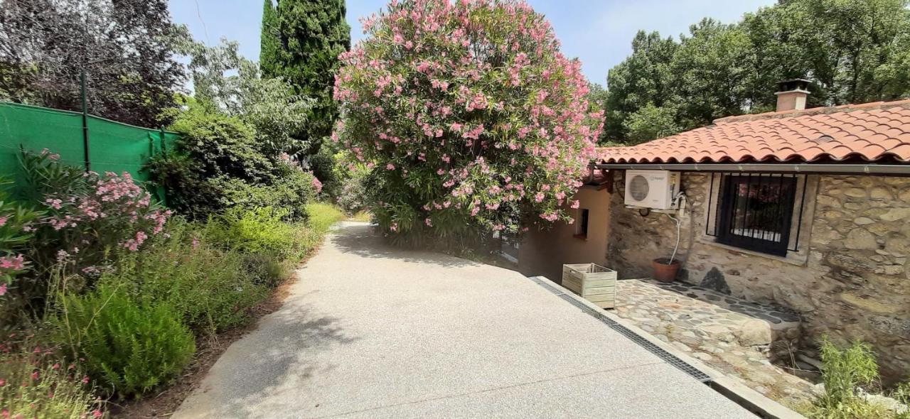 Gite De Charme Dans Mas Catalan Prades  Buitenkant foto